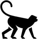 Project Mono